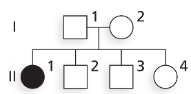 Pedigree chart showing a family with one child (II-1) affected by an autosomal recessive condition.