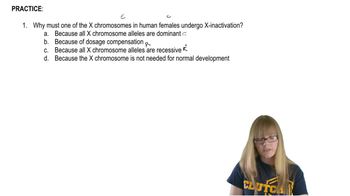 Purpose of X Inactivation