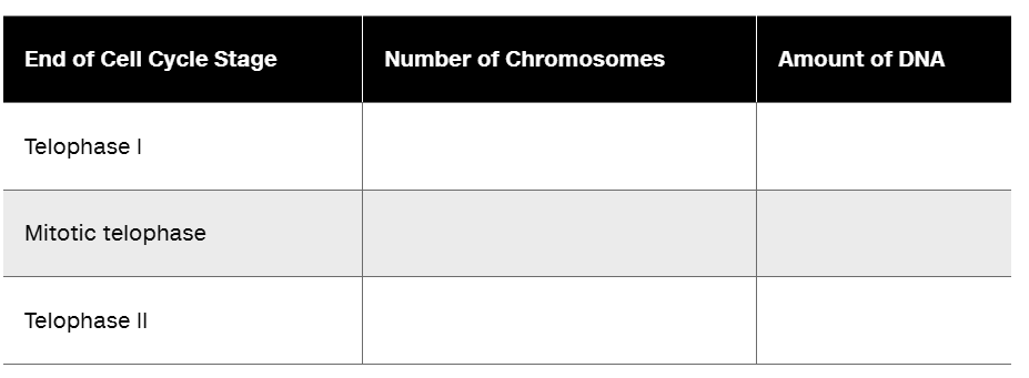 Table showing cell cycle stages with columns for number of chromosomes and amount of DNA in a hypothetical animal.