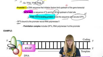 Eukaryotic Transcription