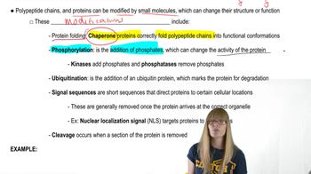 Post Translational Modifications