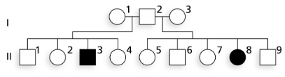 Pedigree chart illustrating albinism inheritance in a family, showing one affected child among four siblings.