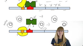Lac Operon Regulation