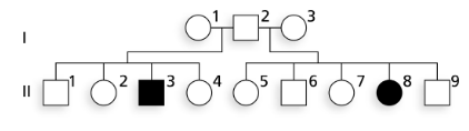 Pedigree chart illustrating the inheritance of albinism in a human family across two generations.