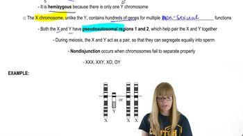 Sex-Linked Genes