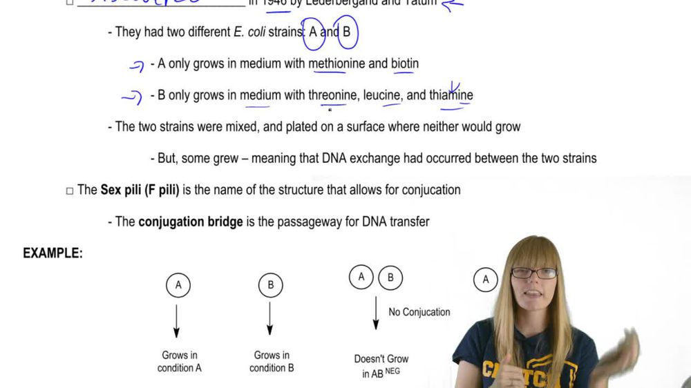 Conjugation Overview