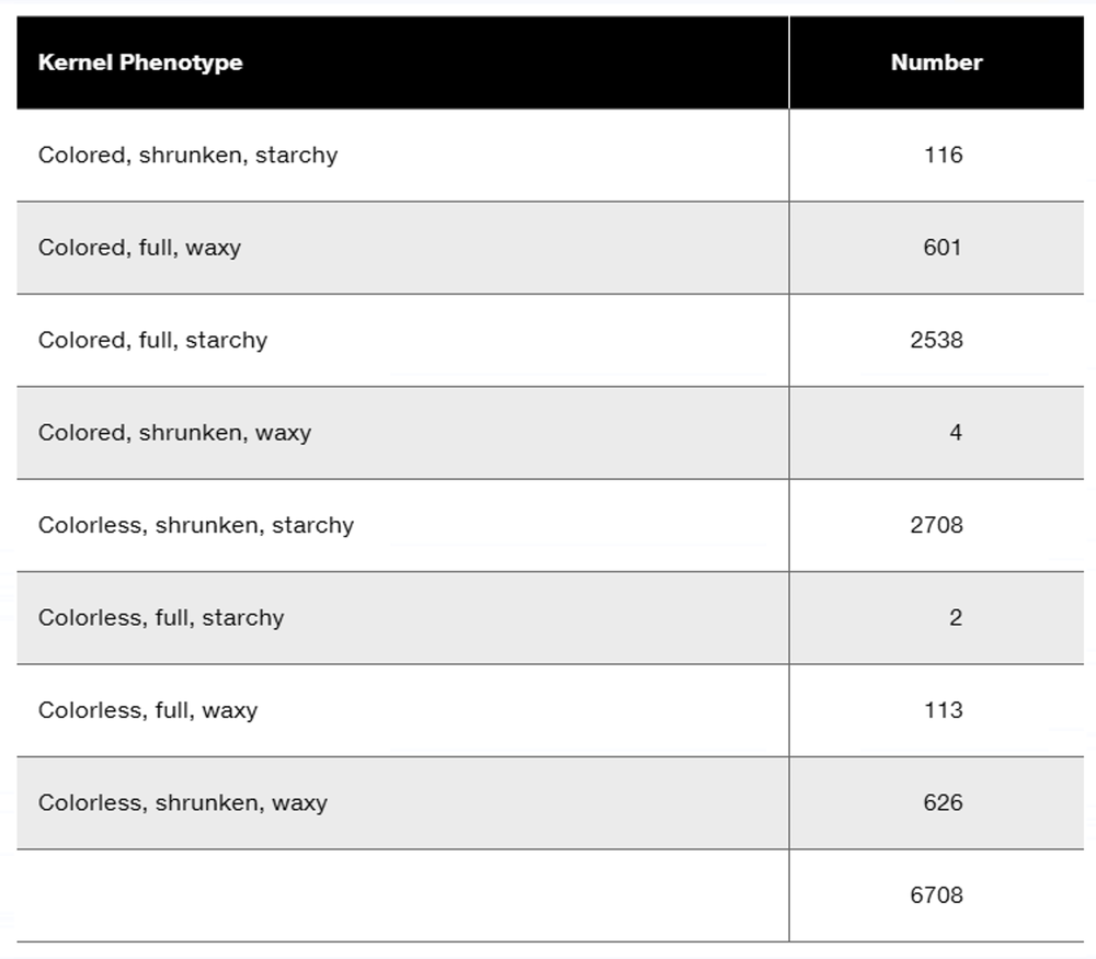 Table displaying kernel phenotypes and their corresponding counts from a trihybrid cross in corn plants.