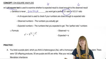 Chi Square Analysis