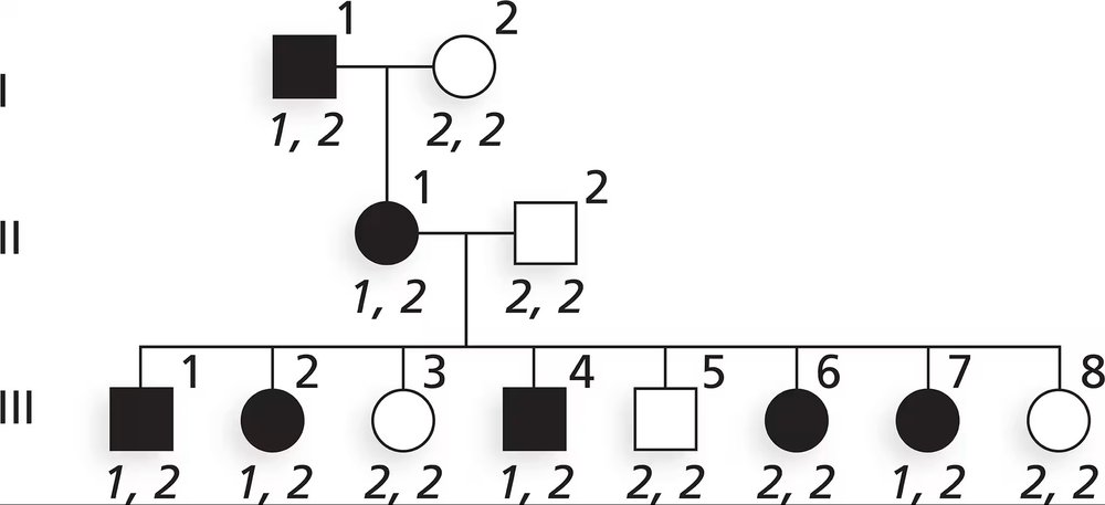Pedigree chart showing NF1 gene segregation with genotypes for DNA markers across three generations.