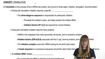 Translation initiation