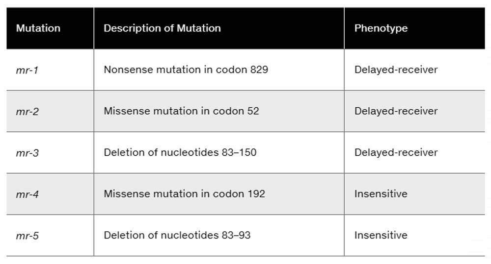 Table listing five mr gene mutations with descriptions and associated phenotypes of delayed-receiver or insensitive mind-reading ability.
