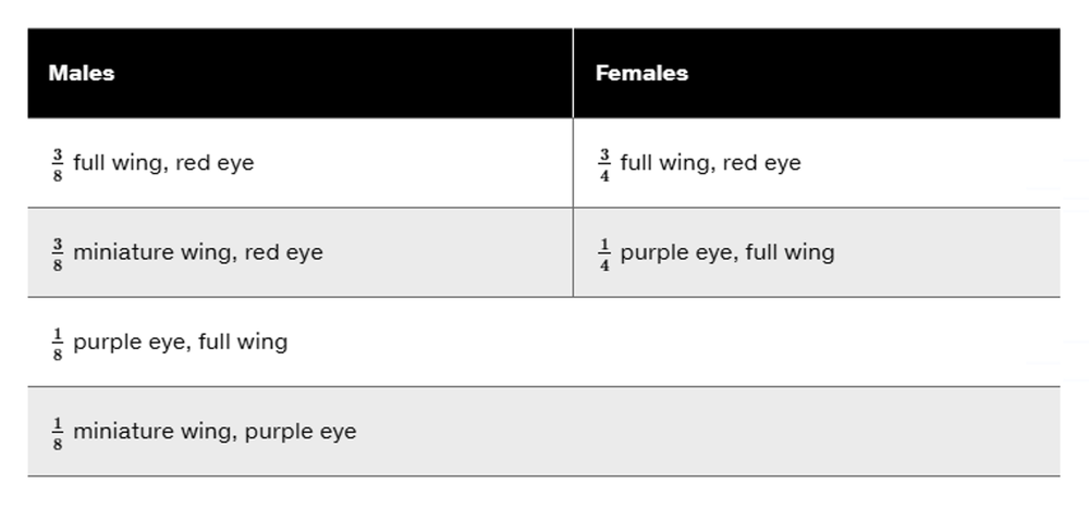 Genetic cross results showing phenotypes of Drosophila progeny: wing and eye color variations in males and females.