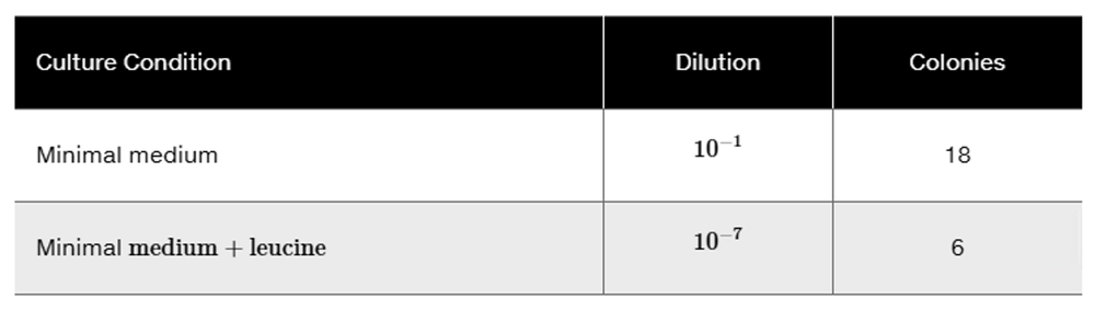 Table showing bacterial colony counts: 18 colonies at 10⁻¹ dilution on minimal medium, 6 colonies at 10⁻⁷ dilution on minimal medium plus leucine.