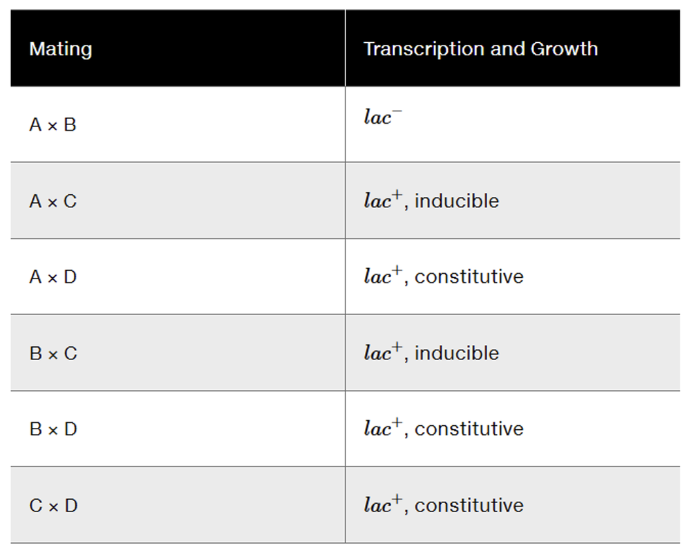 Table showing mating results and transcription characteristics of four lac mutants in E. coli.