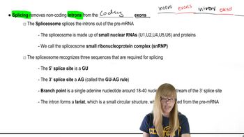 mRNA Processing