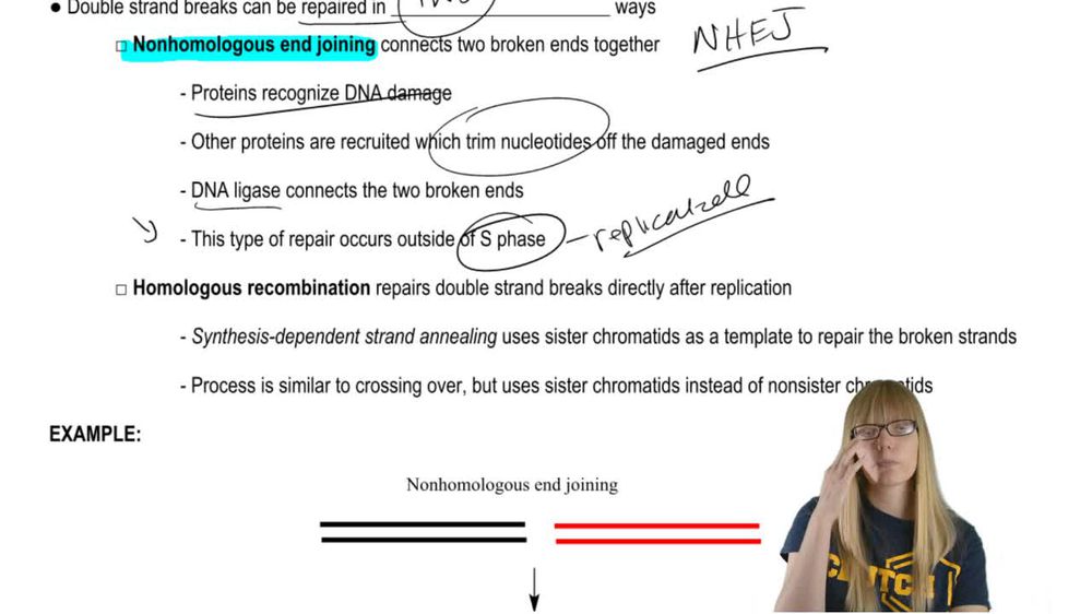 Double Strand Breaks