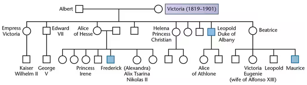 Pedigree chart of hemophilia in the British Royal Family showing carriers and affected males descended from Queen Victoria.
