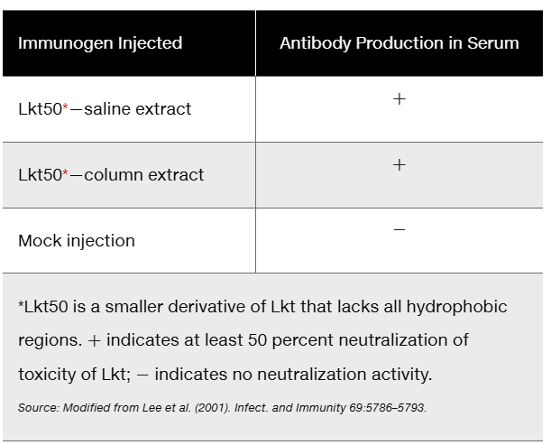 Table showing antibody production in serum of rabbits injected with Lkt50 extracts, indicating immune response only with Lkt50.