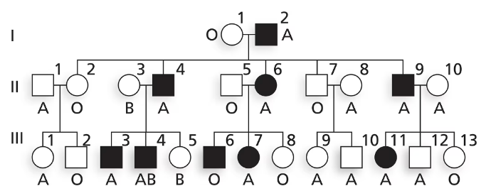 Pedigree chart illustrating inheritance of nail–patella syndrome and ABO blood types in a family.