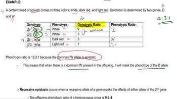 Epistatic Genes