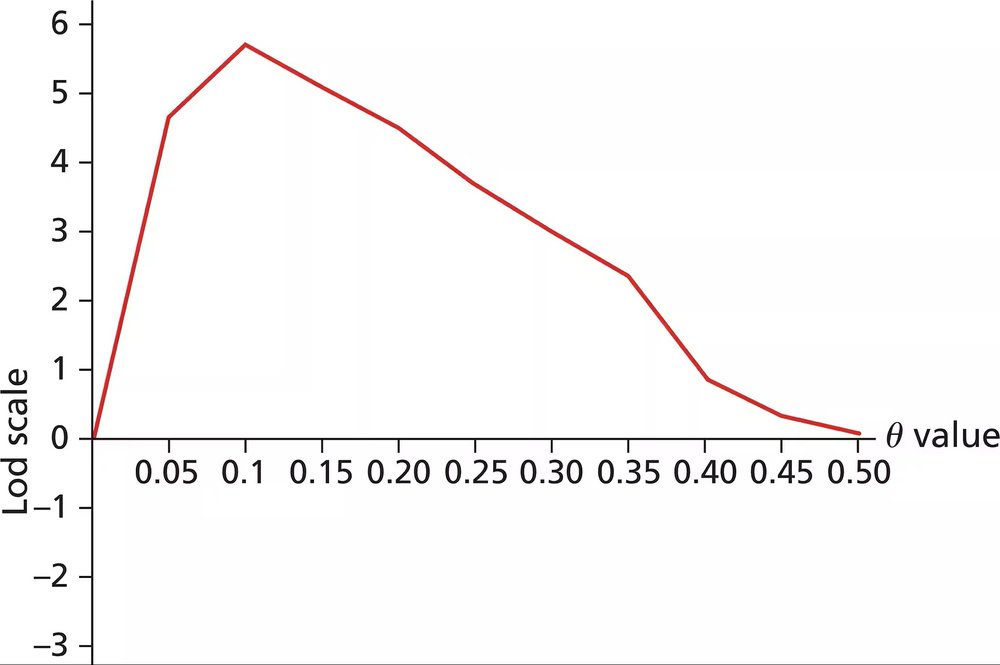 Graph showing lod score data with a peak at 0.1 theta value, indicating genetic linkage analysis results.