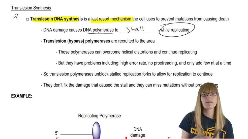 Translesion Synthesis