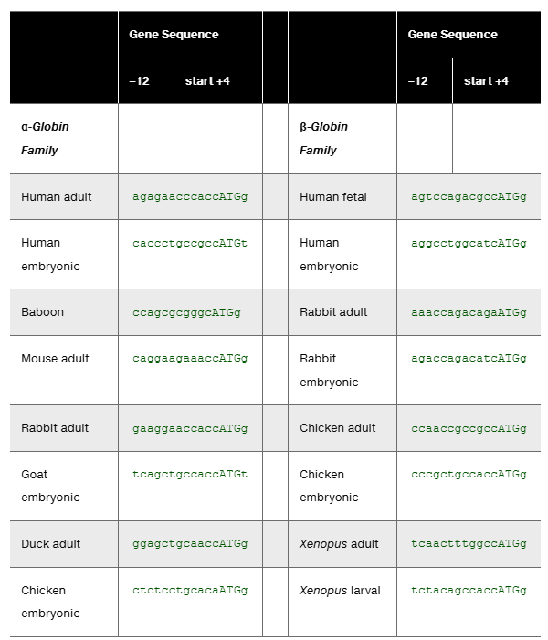 Table showing α-globin and β-globin gene sequences from -12 to +4 nucleotides around the start codon for various vertebrates.