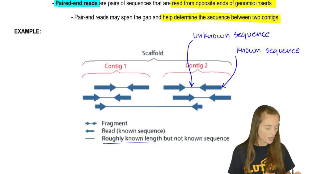 Sequencing Difficulties