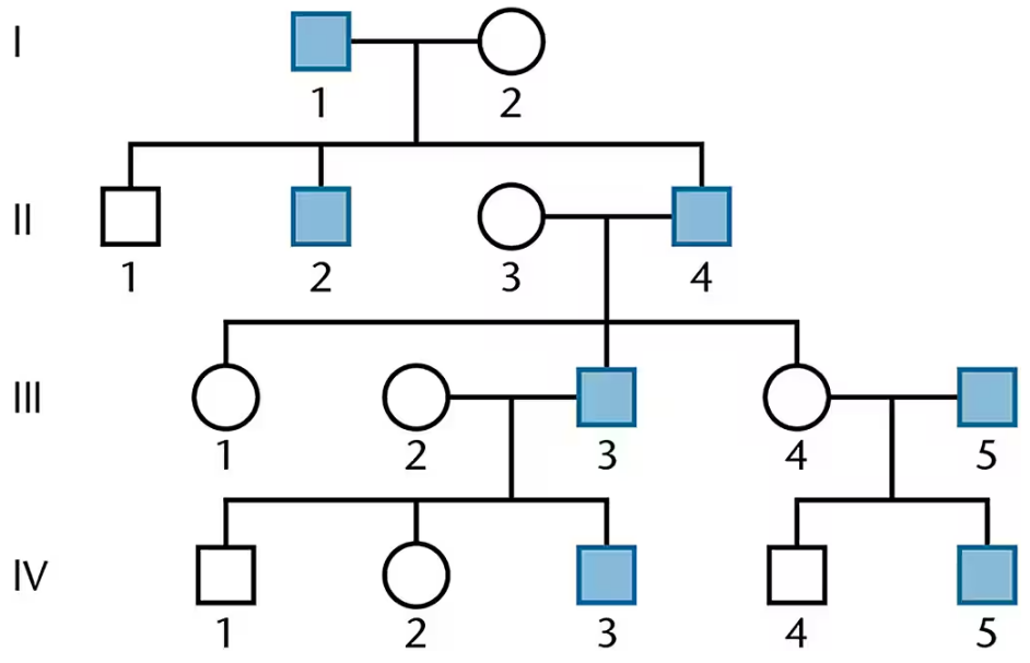 Pedigree chart showing affected males with early puberty across four generations, indicated by shaded squares.