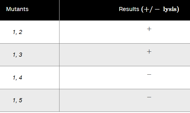 Table showing complementation test results of rII mutants with pairs 1,2 and 1,3 positive for lysis, 1,4 and 1,5 negative.