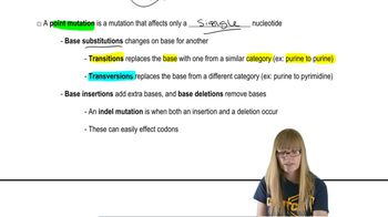 Point Mutations