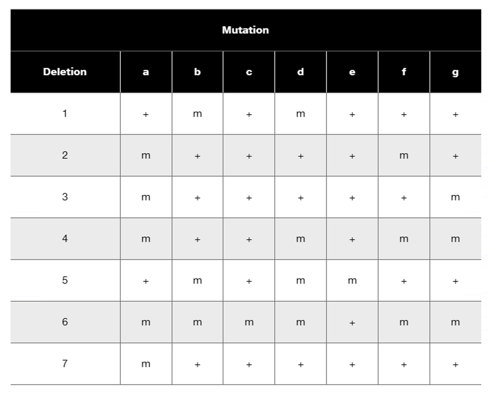 Table showing the effects of seven chromosomal deletions on mutant and wild-type phenotypes in Drosophila.