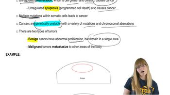Cancer Characteristics