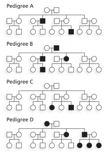 Four pedigrees illustrating inheritance patterns, with symbols indicating affected and unaffected individuals.