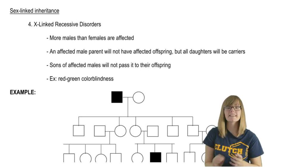 Sex-Linked Pedigrees