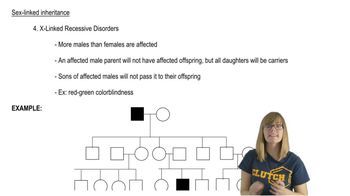 Sex-Linked Pedigrees