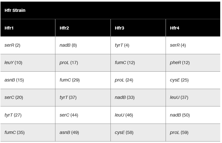 Table displaying gene transfer order and timing for four Hfr strains in bacterial conjugation.