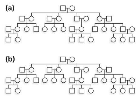 Two blank pedigrees illustrating X-linked recessive (a) and X-linked dominant (b) trait inheritance patterns.