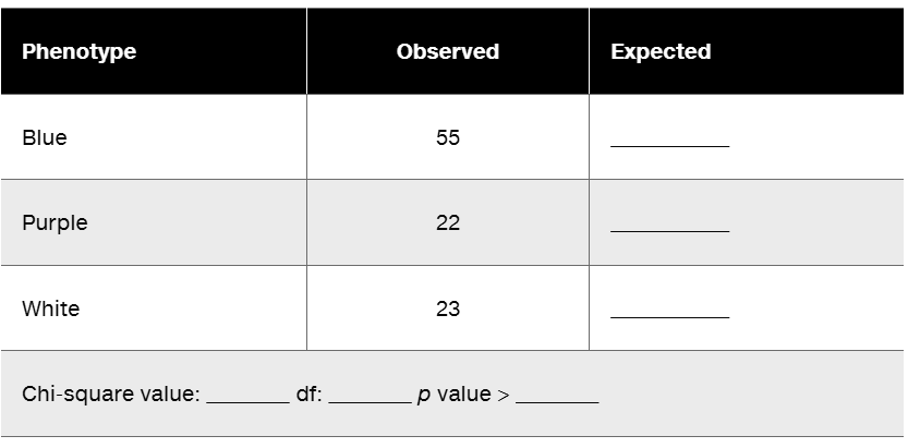 Table for chi-square analysis of daisy plant phenotypes: observed counts for blue, purple, and white flowers.