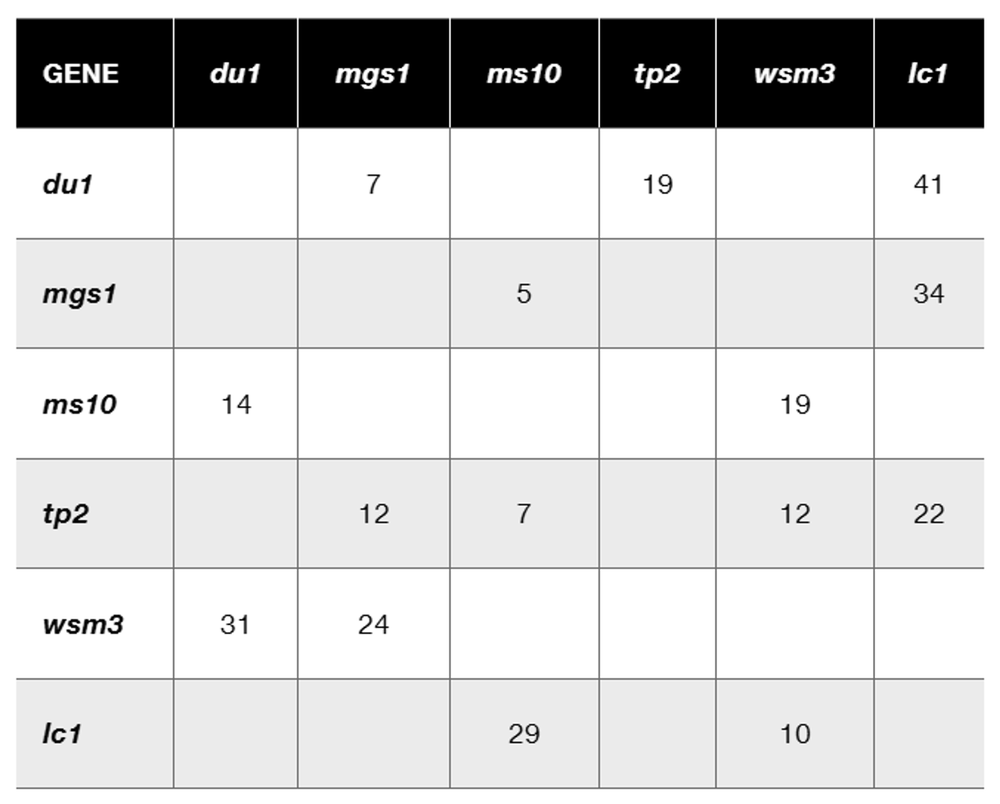Table displaying recombination frequencies for six linked genes on corn chromosome 10, aiding in genetic mapping.