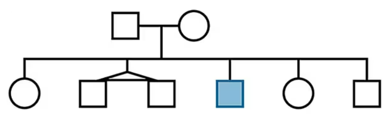 Pedigree chart showing two generations with one affected male indicated by a filled square among unaffected family members.