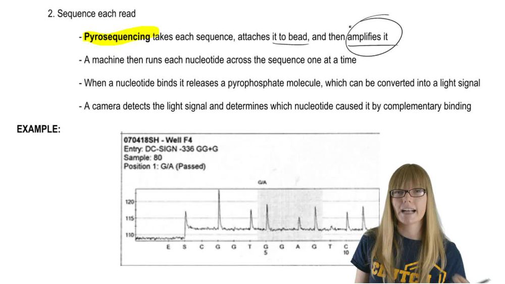 Sequencing Overview