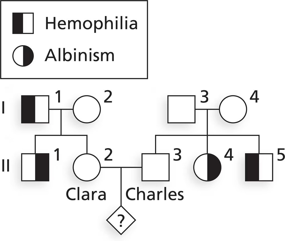 Pedigree chart showing inheritance patterns of hemophilia and albinism in two families, highlighting Clara and Charles.