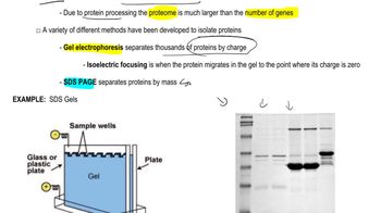 Proteomics