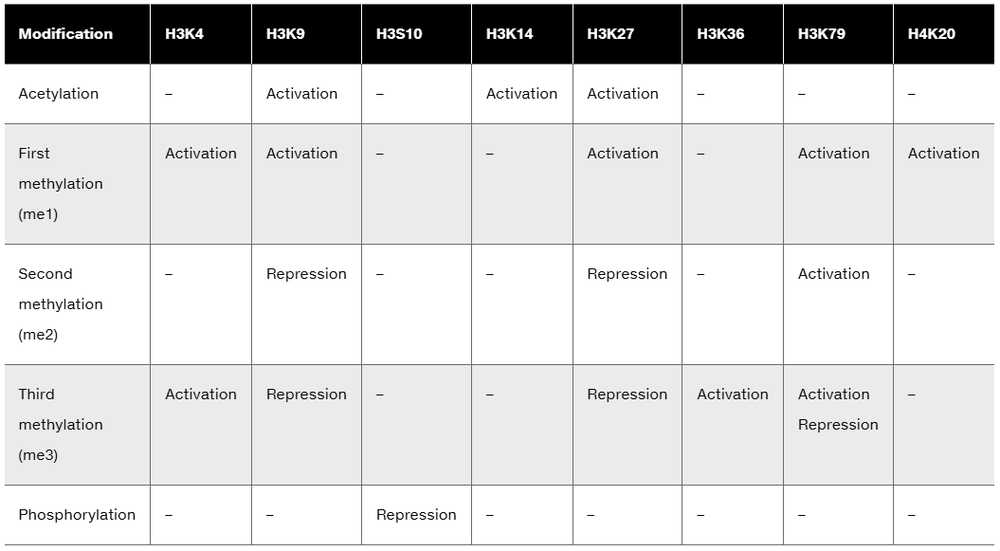 Table listing histone H3 modifications showing activation or repression marks across various residues and modification types.
