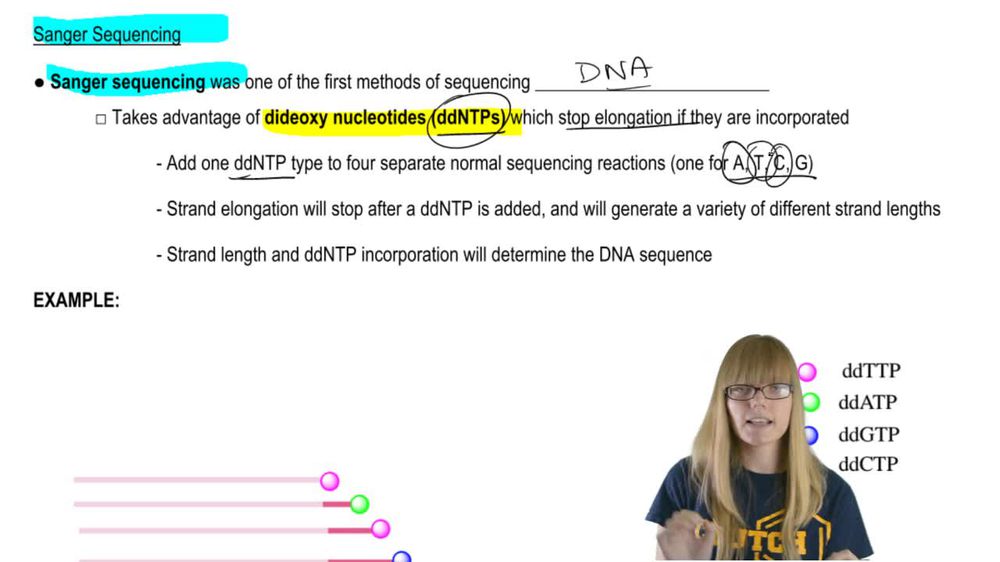 Sanger Sequencing