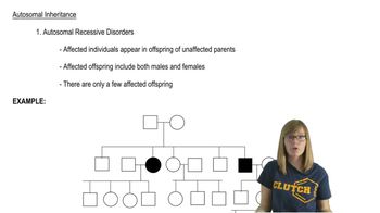 Autosomal Pedigrees