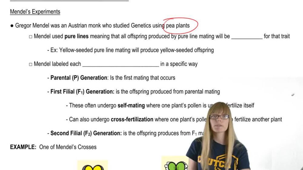 Mendel's Experiments