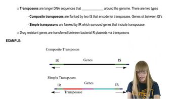 Prokaryotic Transposable Elements