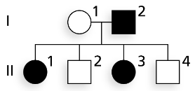 Pedigree chart illustrating the inheritance of a phenotypic trait with symbols for dominant and recessive alleles.